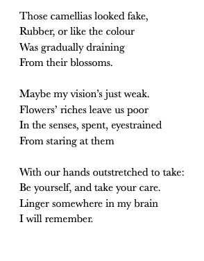 Screen Shot 2019-05-04 at 4.00.45 PM.png