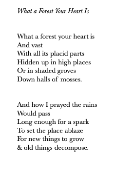 Screen Shot 2019-11-26 at 1.22.58 PM.png